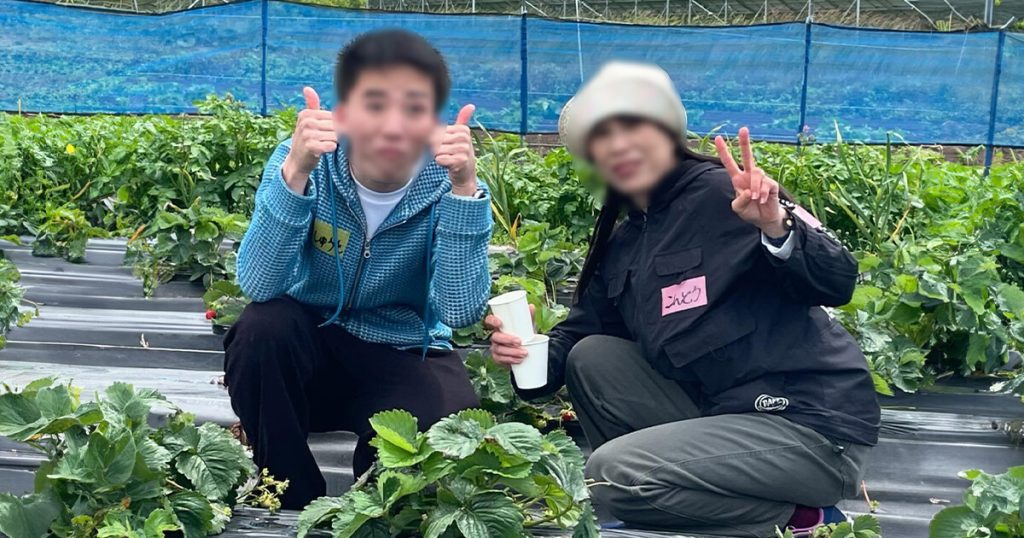 小川農場いちご狩りイベント2024　男女のツーショット