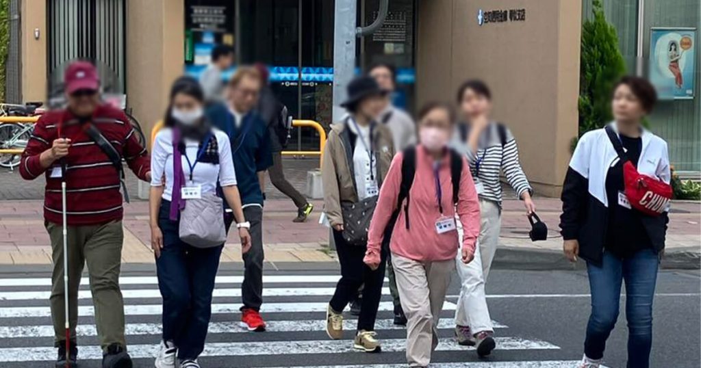 同行援護従事者養成研修/応用課程横断歩道の様子