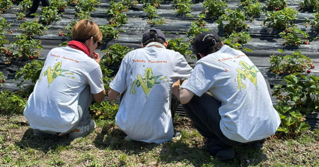 いちご狩りツアー2025の畑での様子
